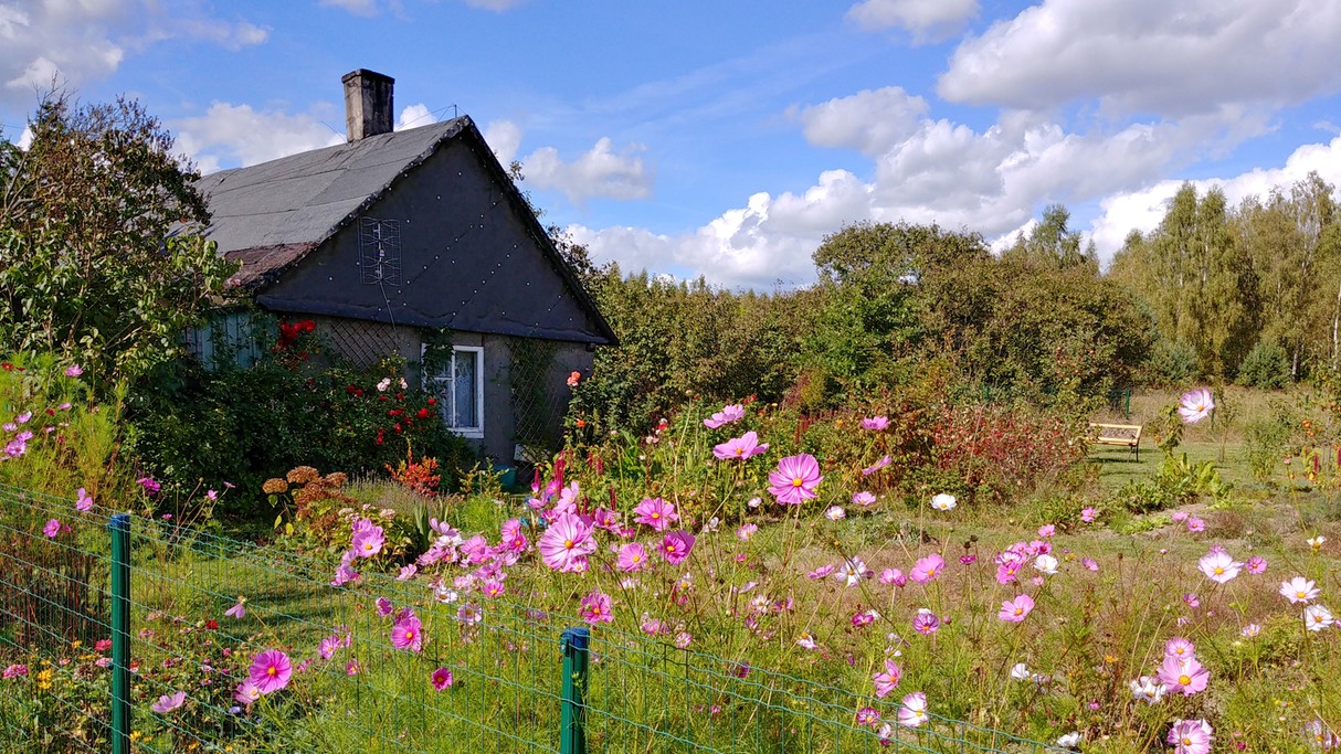 Uroki końca lata - zdjęcie 13
