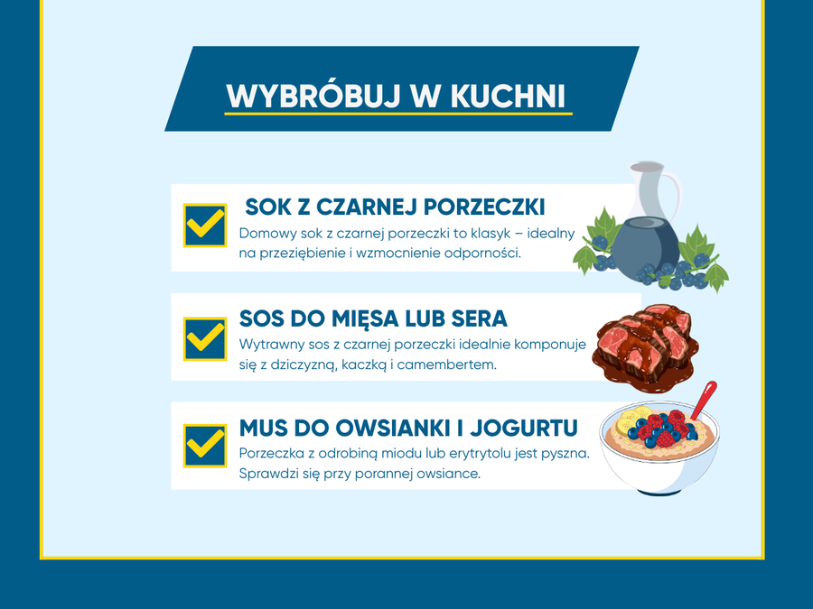 Czarna porzeczka wraca do łask, będzie hitem 2026 roku