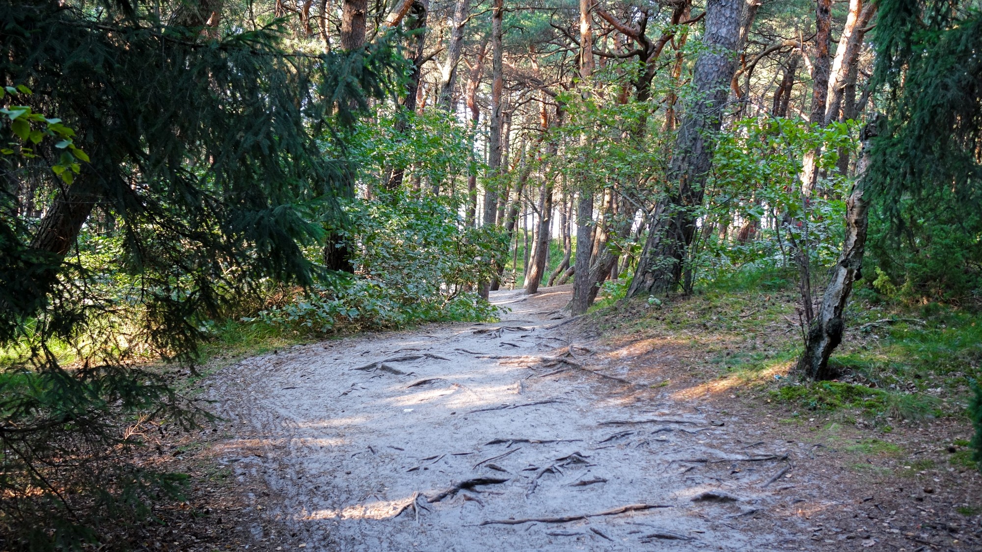 Koniec lata w pięknej Polsce - zdjęcie 19