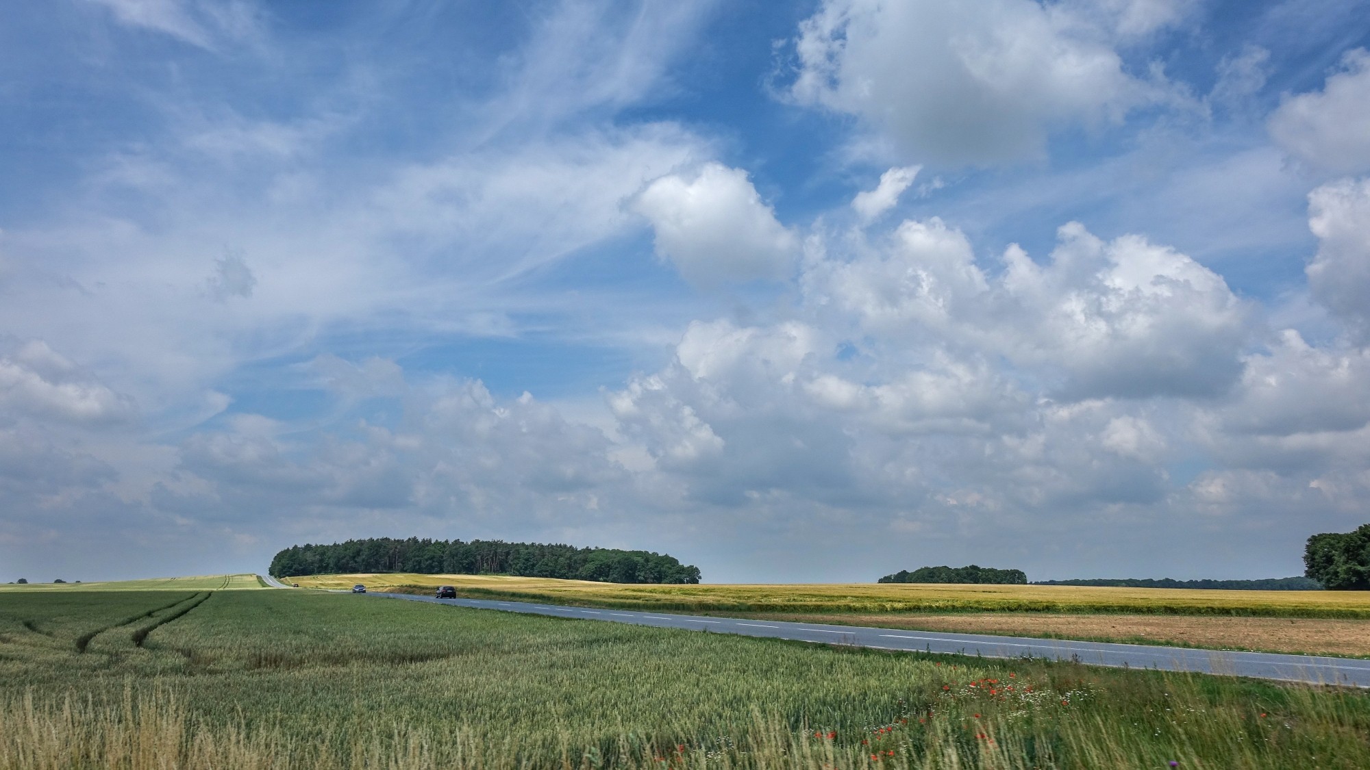 Czerwiec w obiektywie - zdjęcie 40