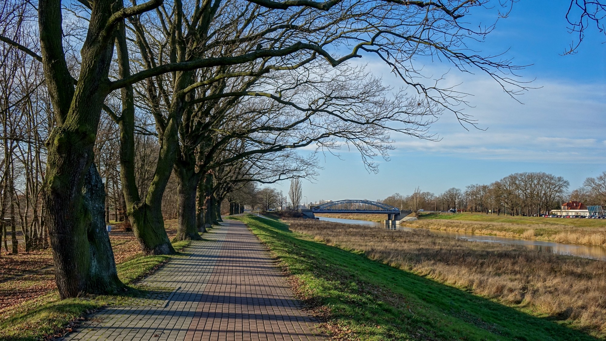 Najcieplejsza zima w historii - zdjęcie 36
