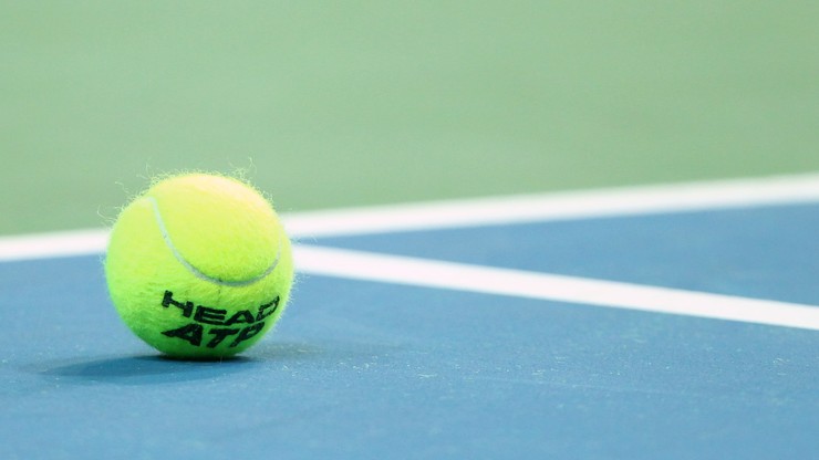 ATP w Metz: Pogromca Hurkacza odpadł w ćwierćfinale