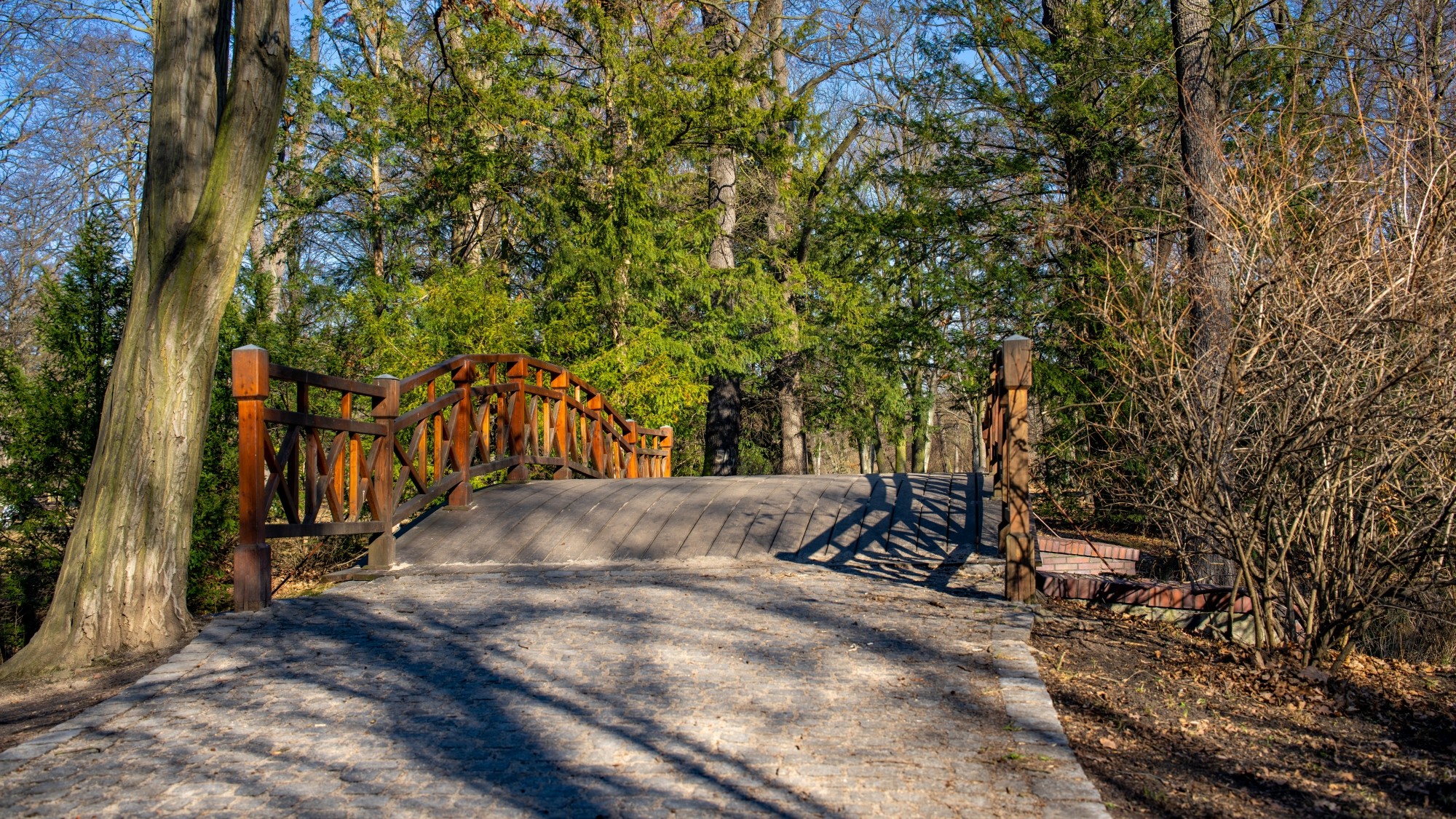 Wiosna coraz bliżej - zdjęcie 36