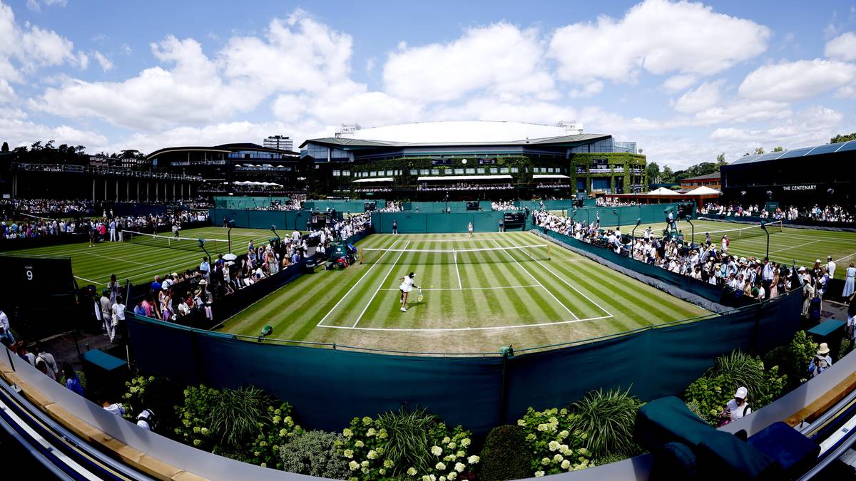 Wimbledon 5 lipca: mecz Hurkacza dostępny za darmo na Polsatsport.pl