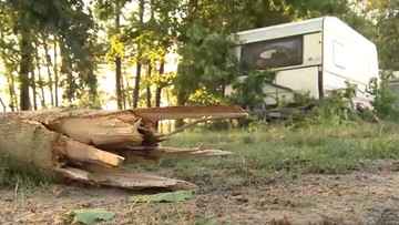 Nie żyje 12-latek, którego przygniotło drzewo na kempingu