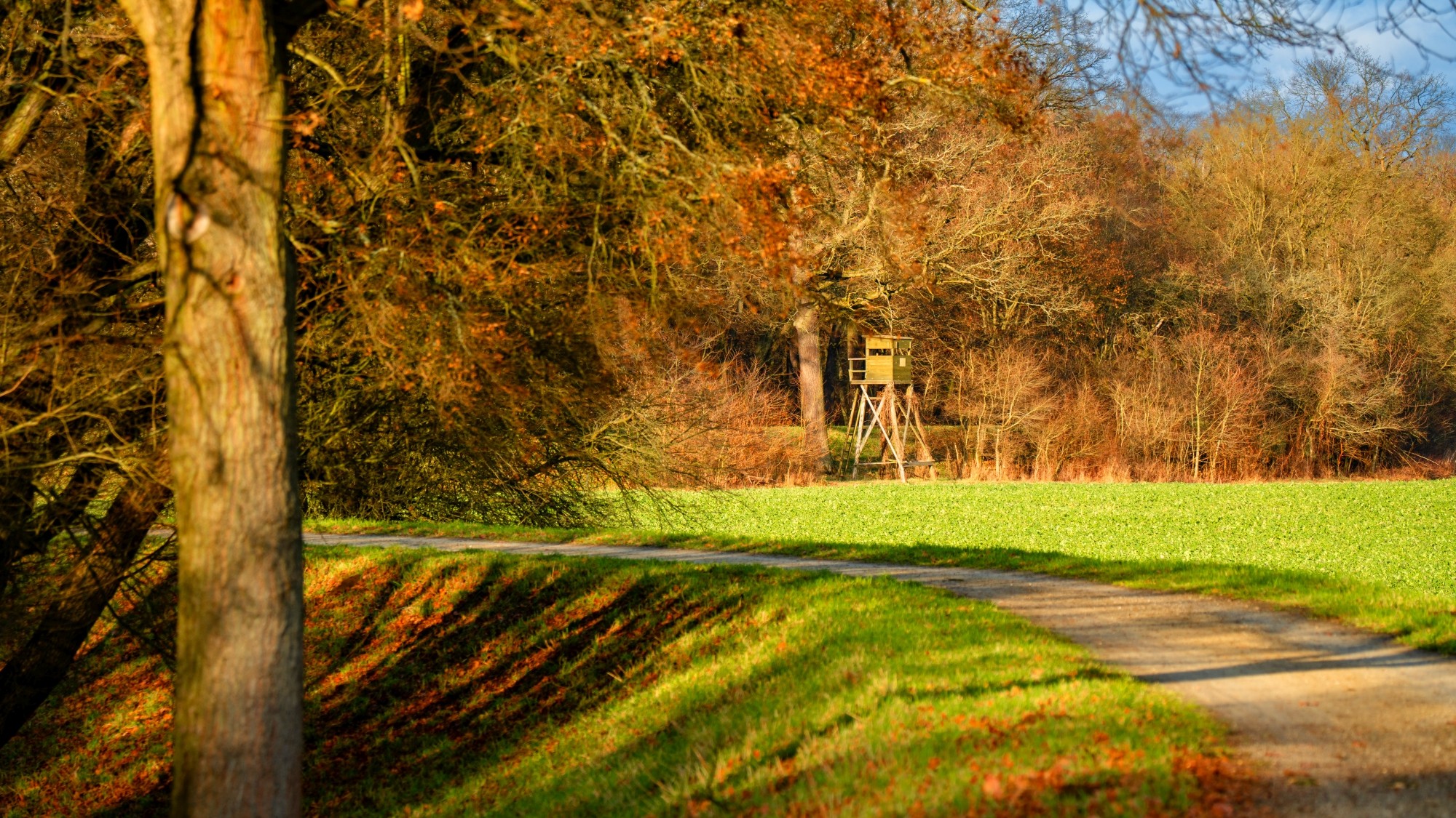 Różne oblicza zimy - zdjęcie 18
