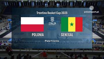 Polska - Senegal. Skrót meczu