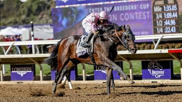 Ukoronowanie sezonu wyścigów konnych na świecie. Polsat Sport pokaże Breeders' Cup Classic