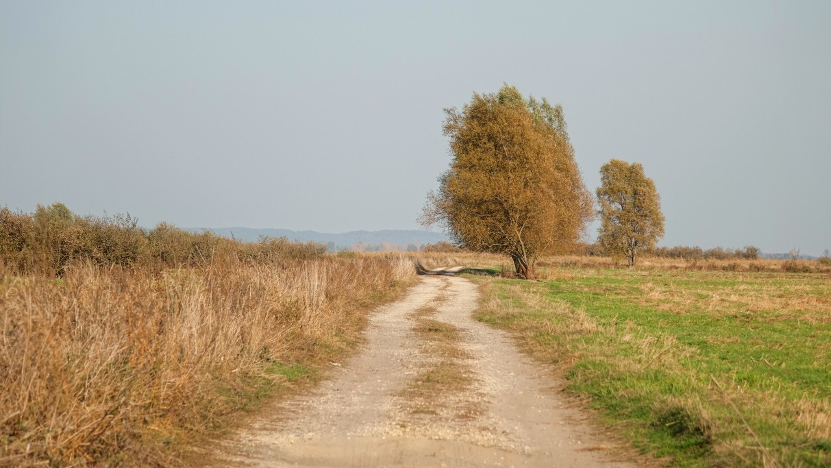 Podróż przez jesienną Polskę - zdjęcie 45