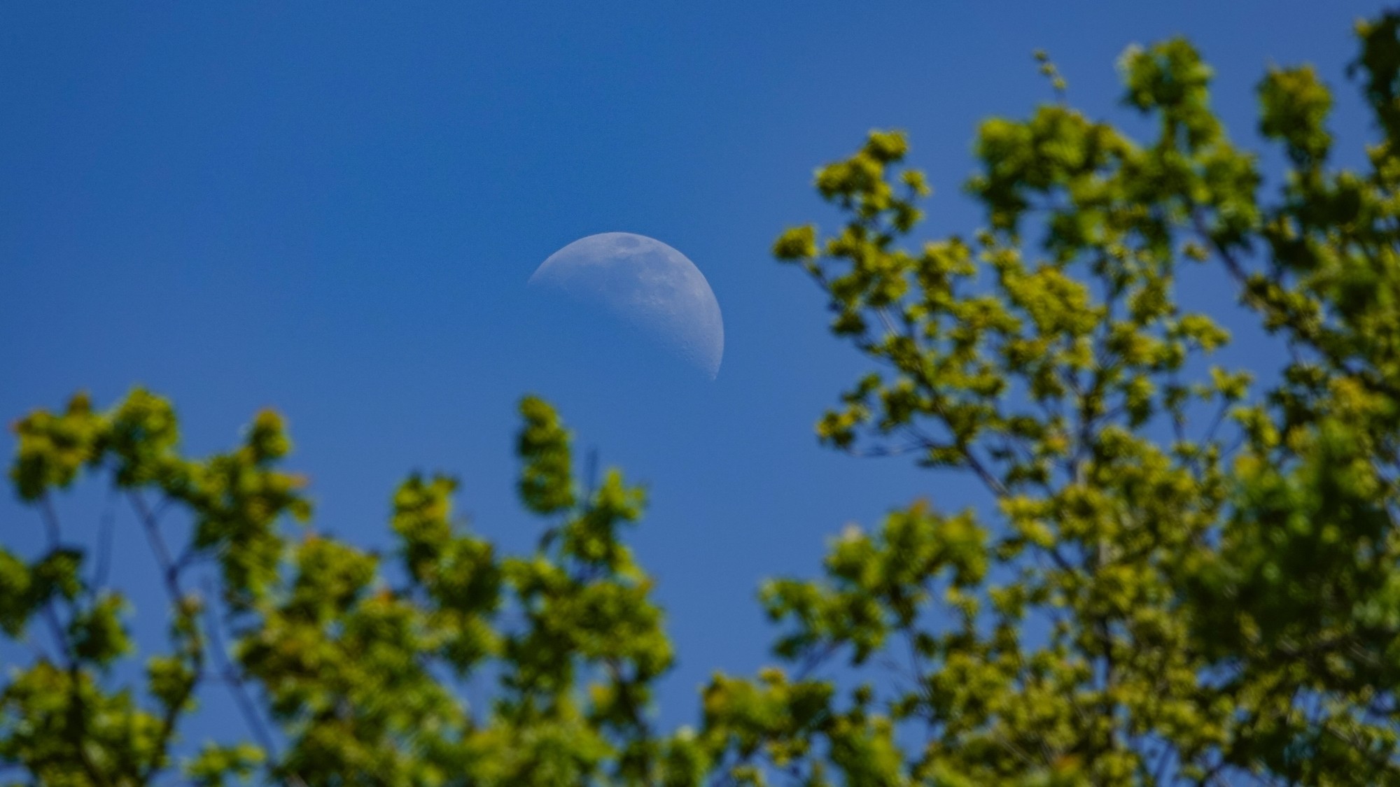 100 najpiękniejszych zdjęć 2020 roku - zdjęcie 8