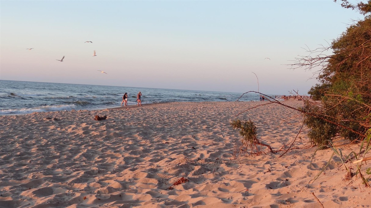 Lipiec w obiektywie - zdjęcie 15