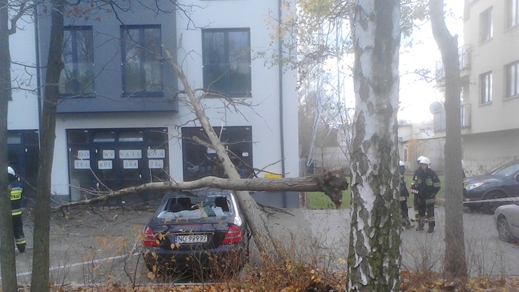 Drzewo spadło na samochód w Warszawie