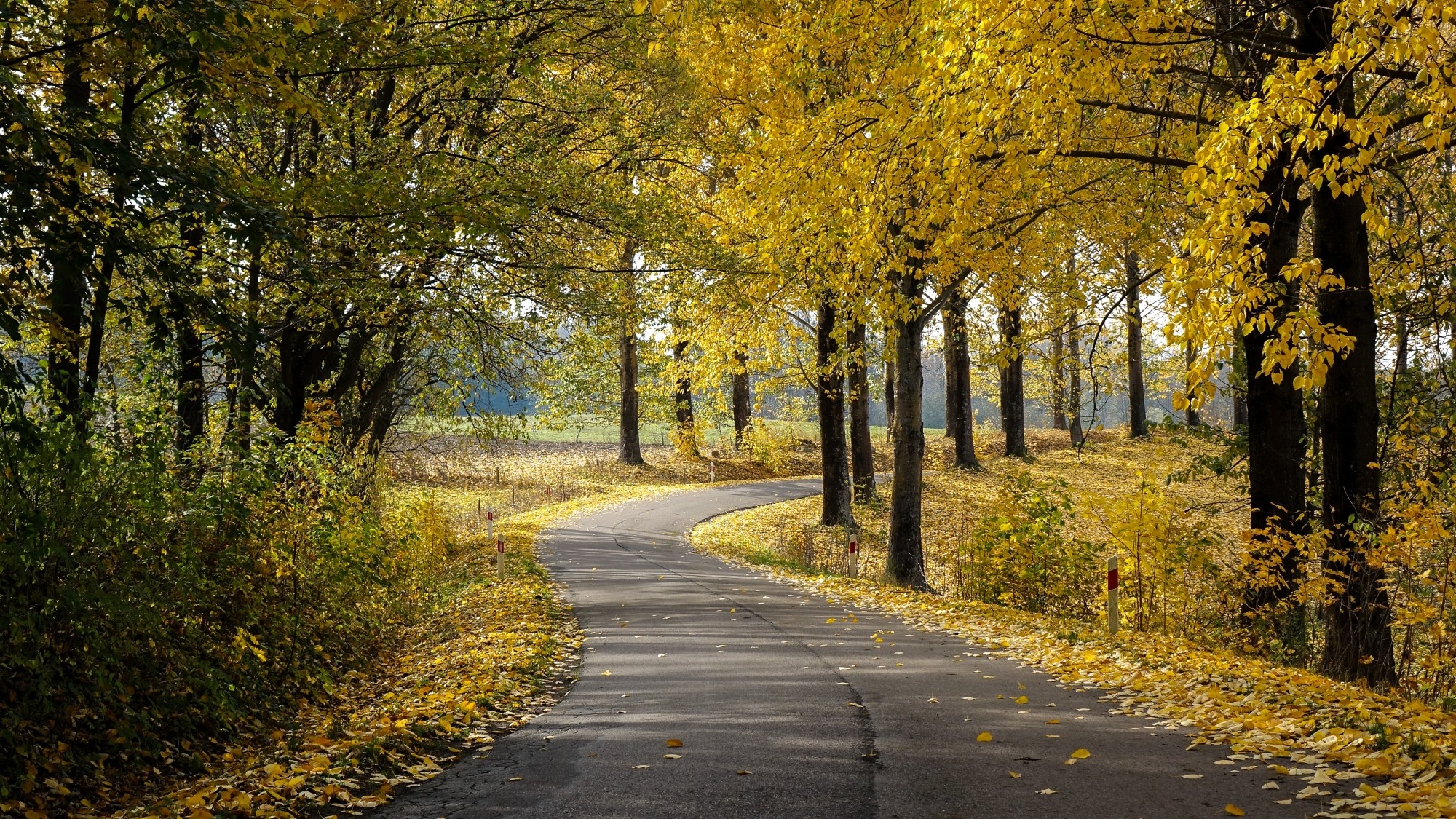 Całe piękno polskiej prowincji - zdjęcie 55