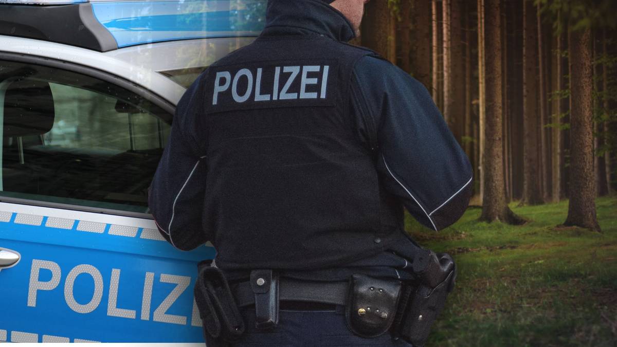 Tajemnicze odkrycie w lesie niedaleko Berlina. Niemcy domagają się ekstradycji
