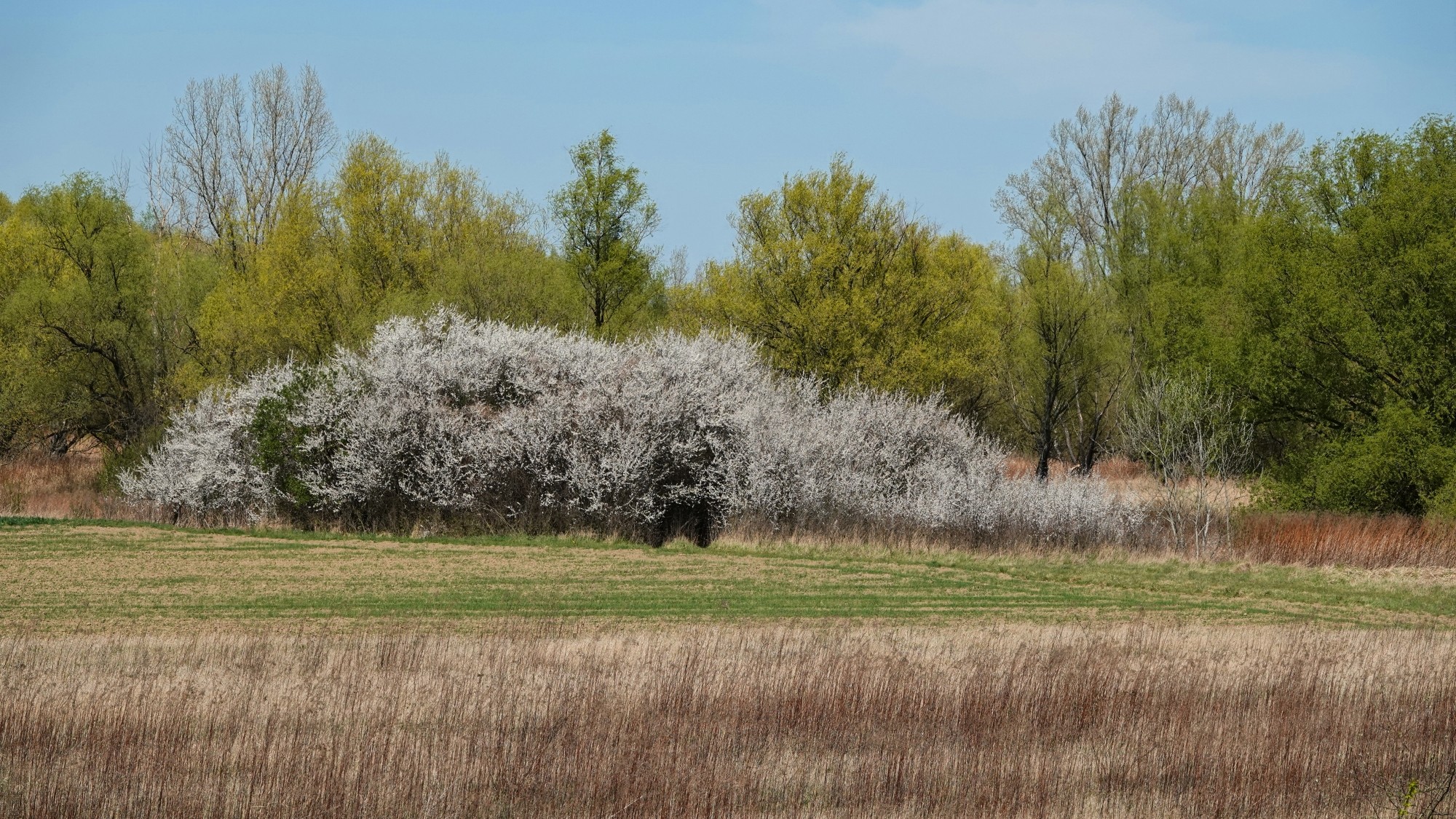Kwiecień w obiektywie - zdjęcie 4