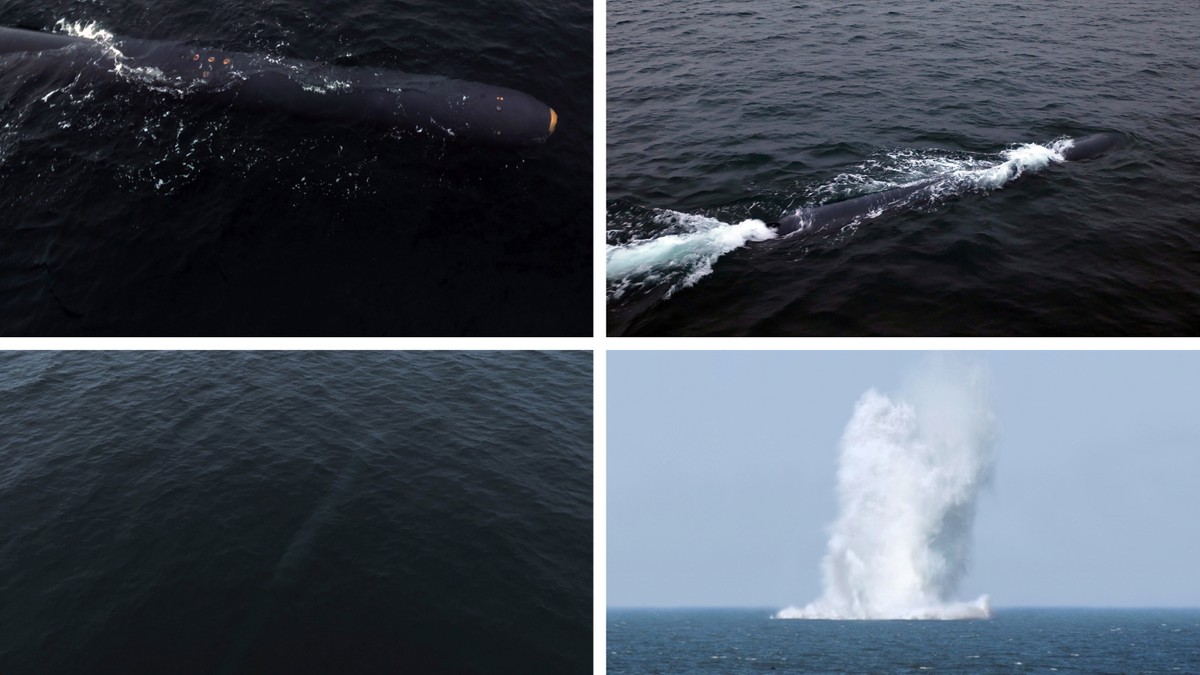 Test podwodnego drona przeprowadzono w kwietniu