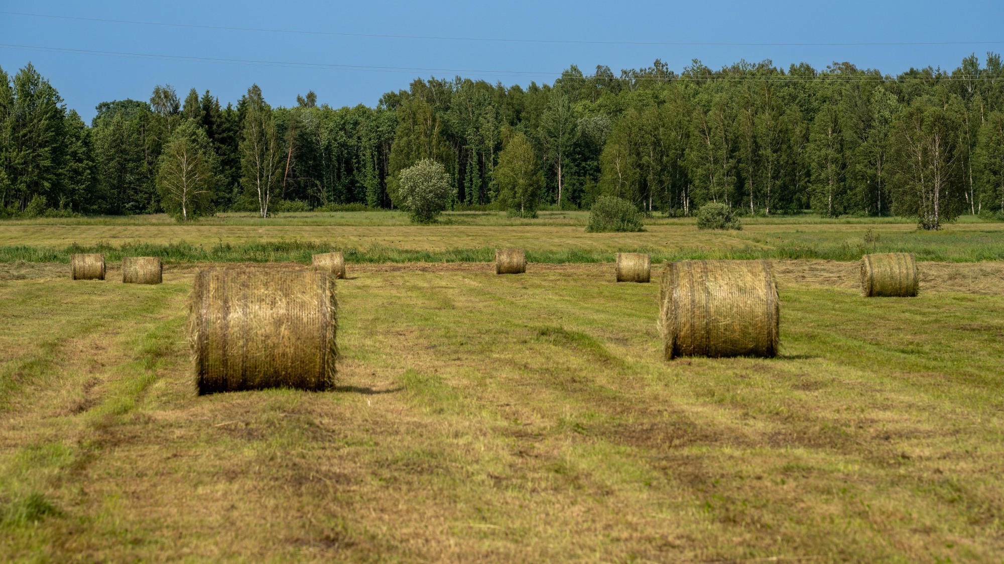 Lato na prowincji - zdjęcie 41