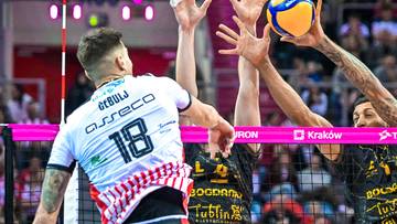 PlusLiga: Asseco Resovia - Bogdanka LUK Lublin. Gdzie obejrzeć? Transmisja TV i stream online