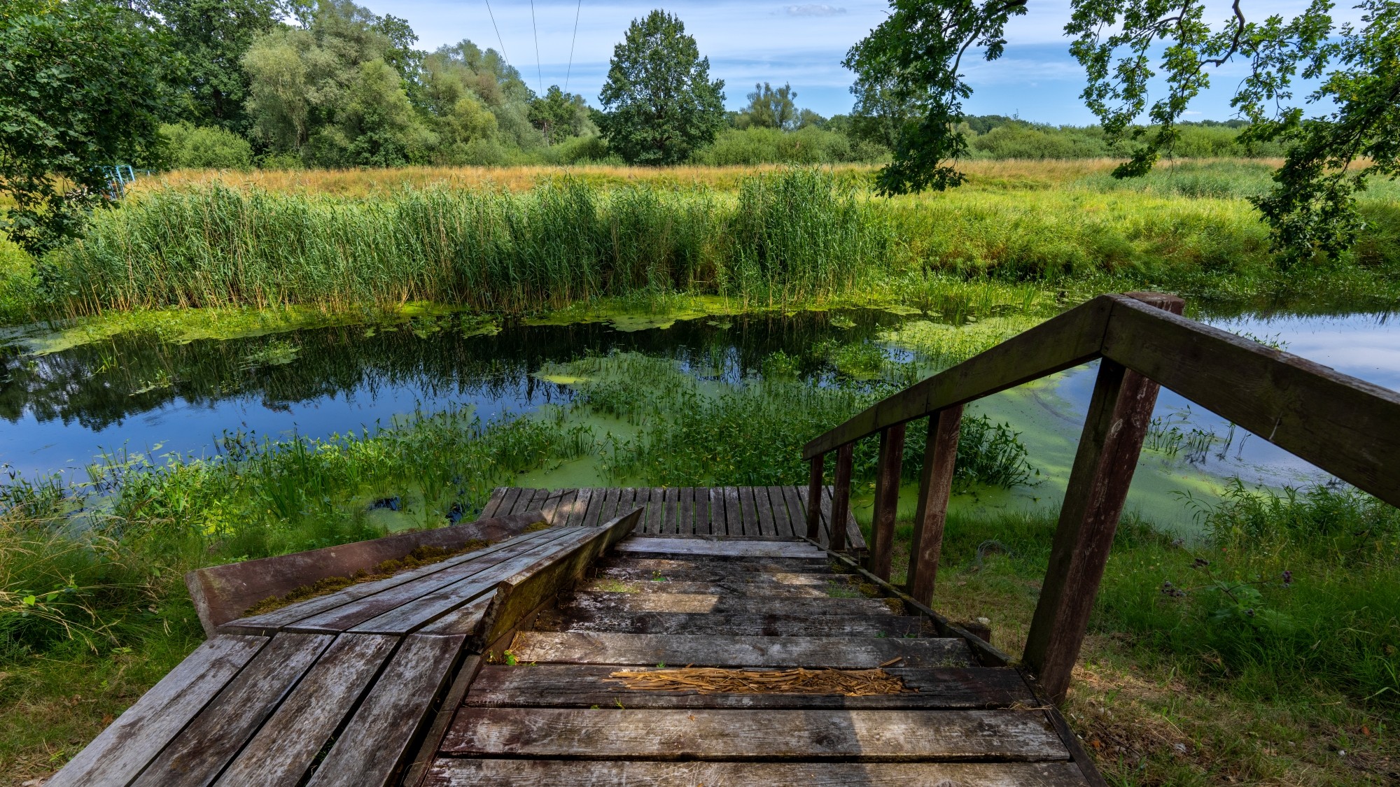 Kolory lata - zdjęcie 6