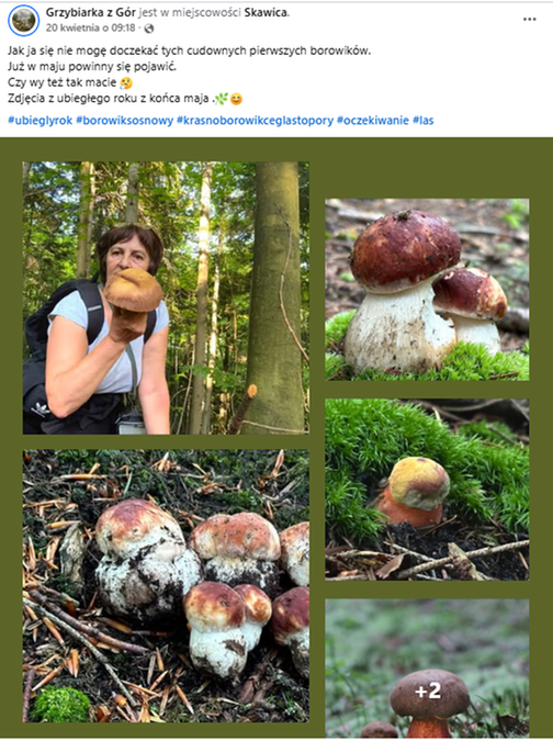Maj to czas pierwszych borowików i innych grzybów w polskich lasach