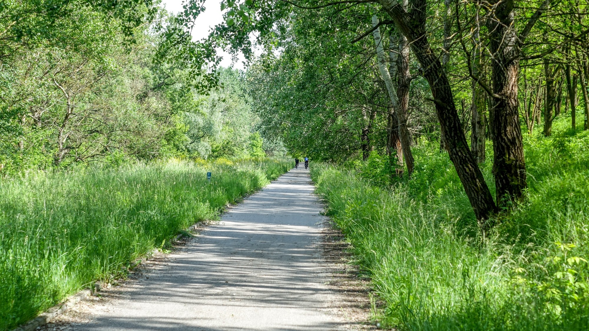 Całe piękno polskiej prowincji - zdjęcie 98