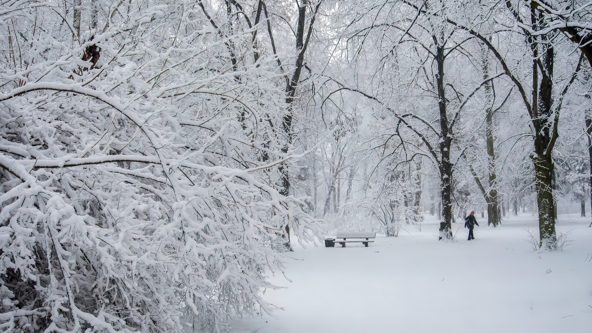 Śnieżne zimy sprzed lat - zdjęcie 11