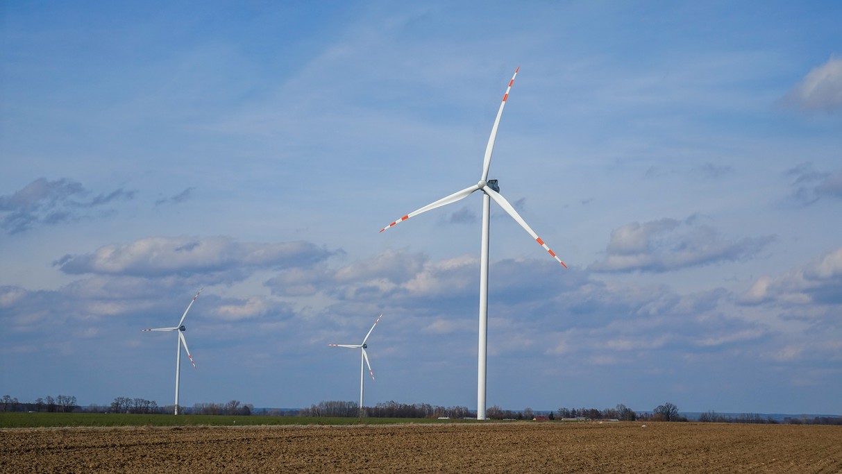 Marzec w obiektywie - zdjęcie 13