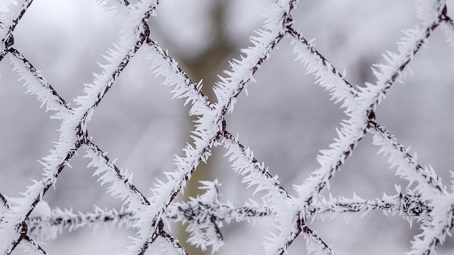 19.12.2017 09:00 Temperatura spadła do nawet minus 20 stopni. Będzie jeszcze zimniej?