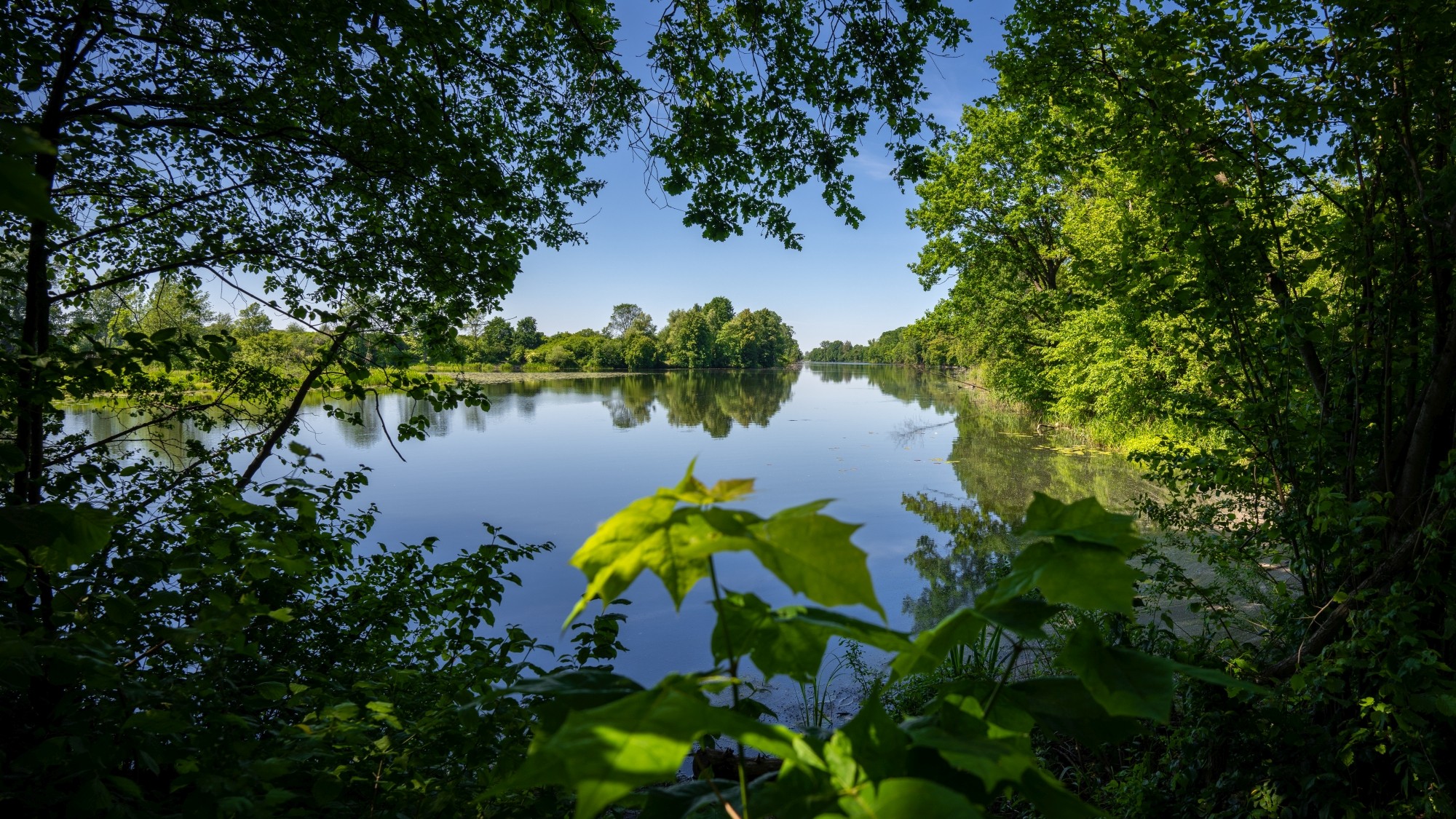 Lato na prowincji - zdjęcie 36