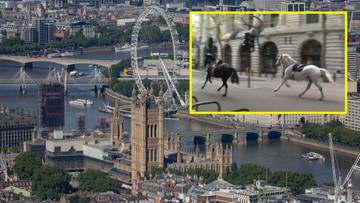 2024-04-24 Konie biegały po londyńskich ulicach. Musiało interweniować wojsko