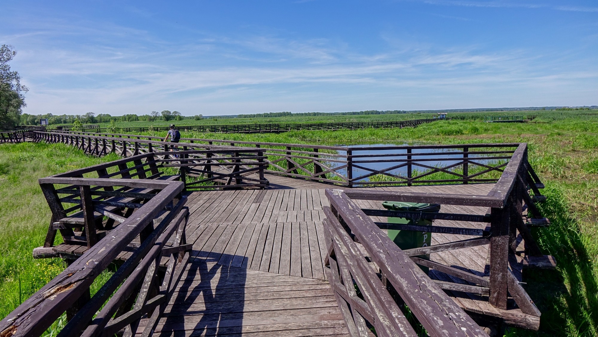 Podróż przez wiosenną Polskę - zdjęcie 15