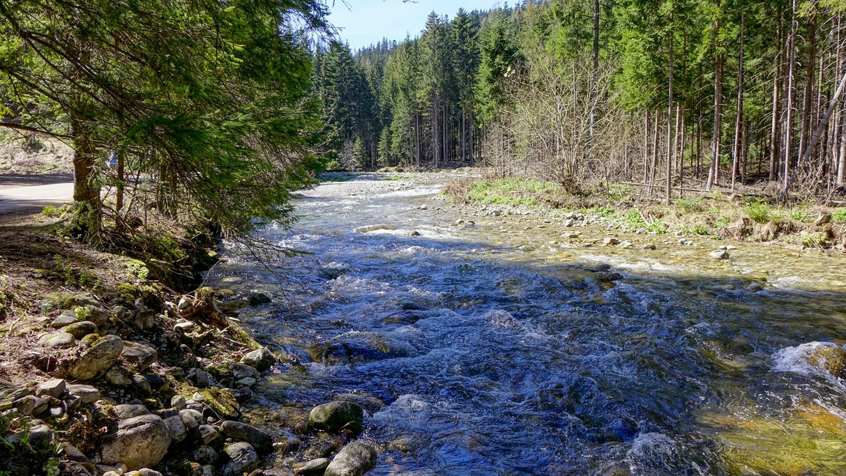 Kwiecień w obiektywie - zdjęcie 24