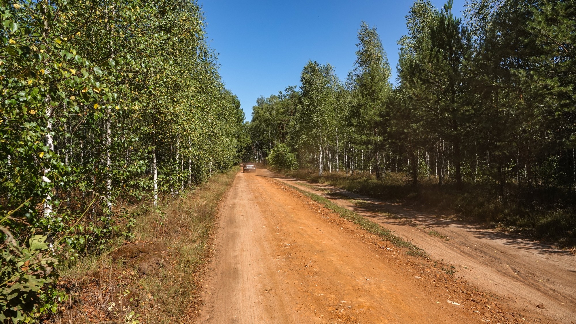 Na pożegnanie lata - zdjęcie 6