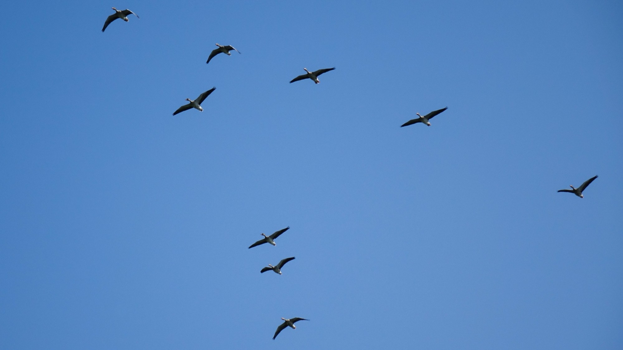 Wrzesień w obiektywie - zdjęcie 40