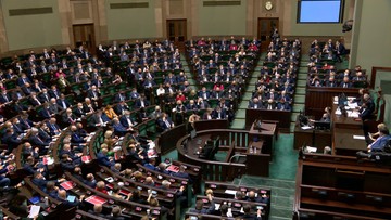 Trzy projekty ustaw dotyczące konopi. Sejm zajmie się nimi w przyszłym tygodniu 