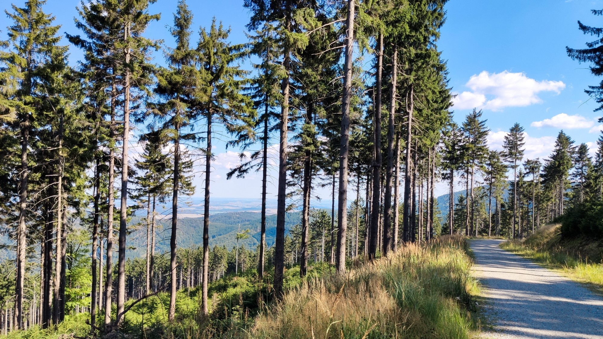 Całe piękno polskiej prowincji - zdjęcie 36