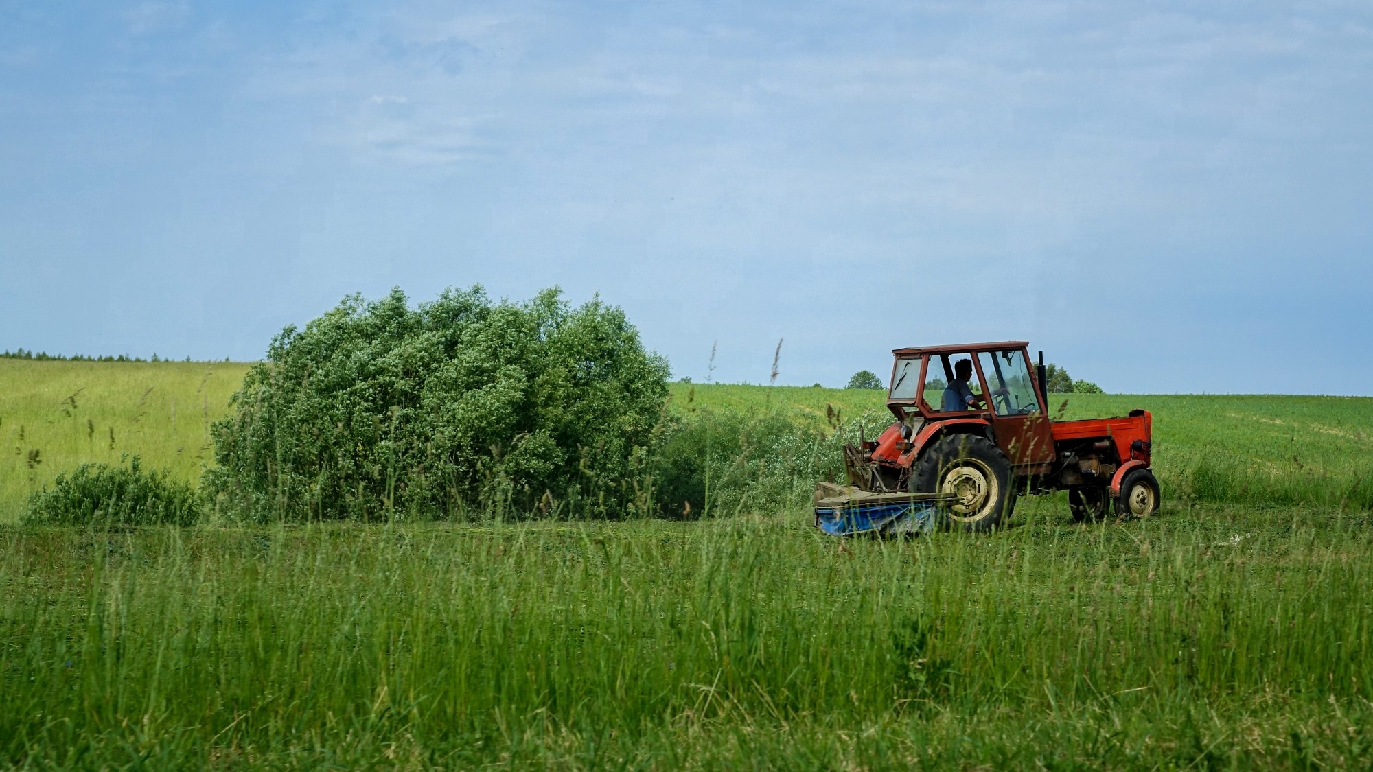 Uroki lata za miastem - zdjęcie 26