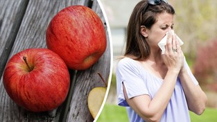 02.05.2022 05:56 To drzewo pyli na potęgę. Wystarczy zjeść jabłko, aby dostać groźnej reakcji alergicznej