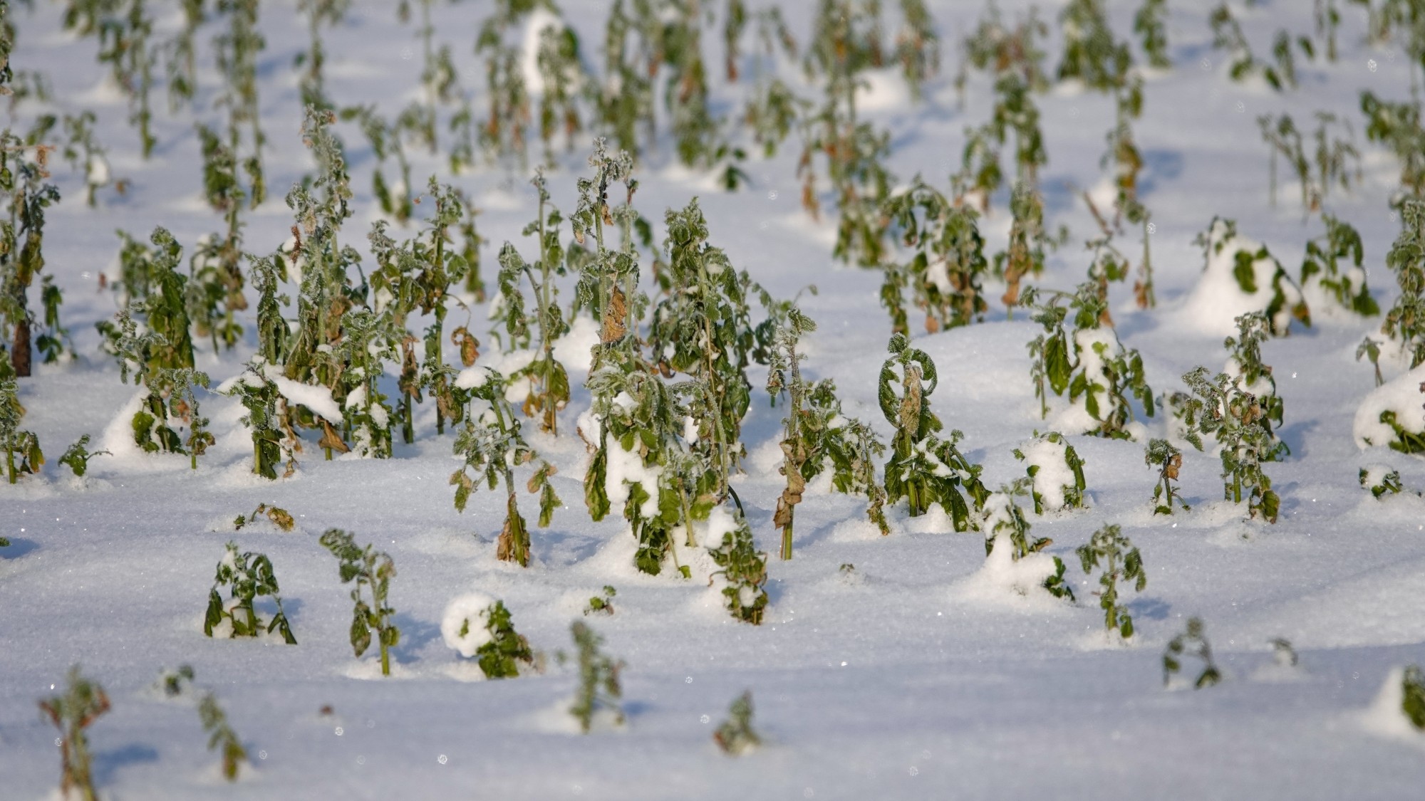 Na lodowym szlaku - zdjęcie 28