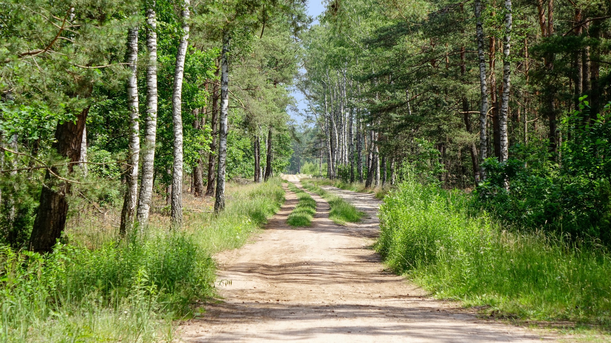 Od morza po góry - zdjęcie 45