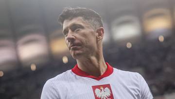 Obraz artykułu