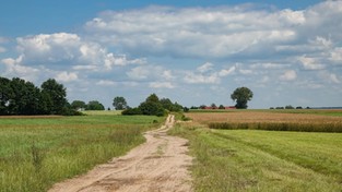 30.08.2020 00:00 Podróż przez polską prowincję