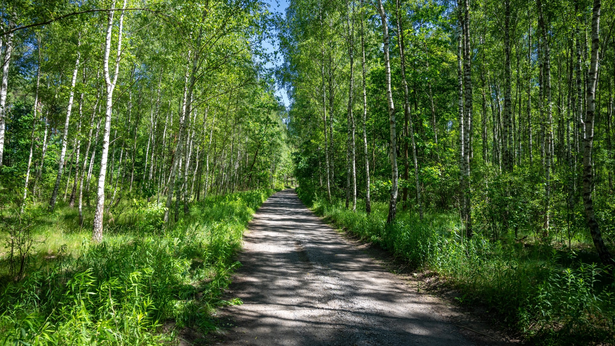 Lato na prowincji - zdjęcie 31