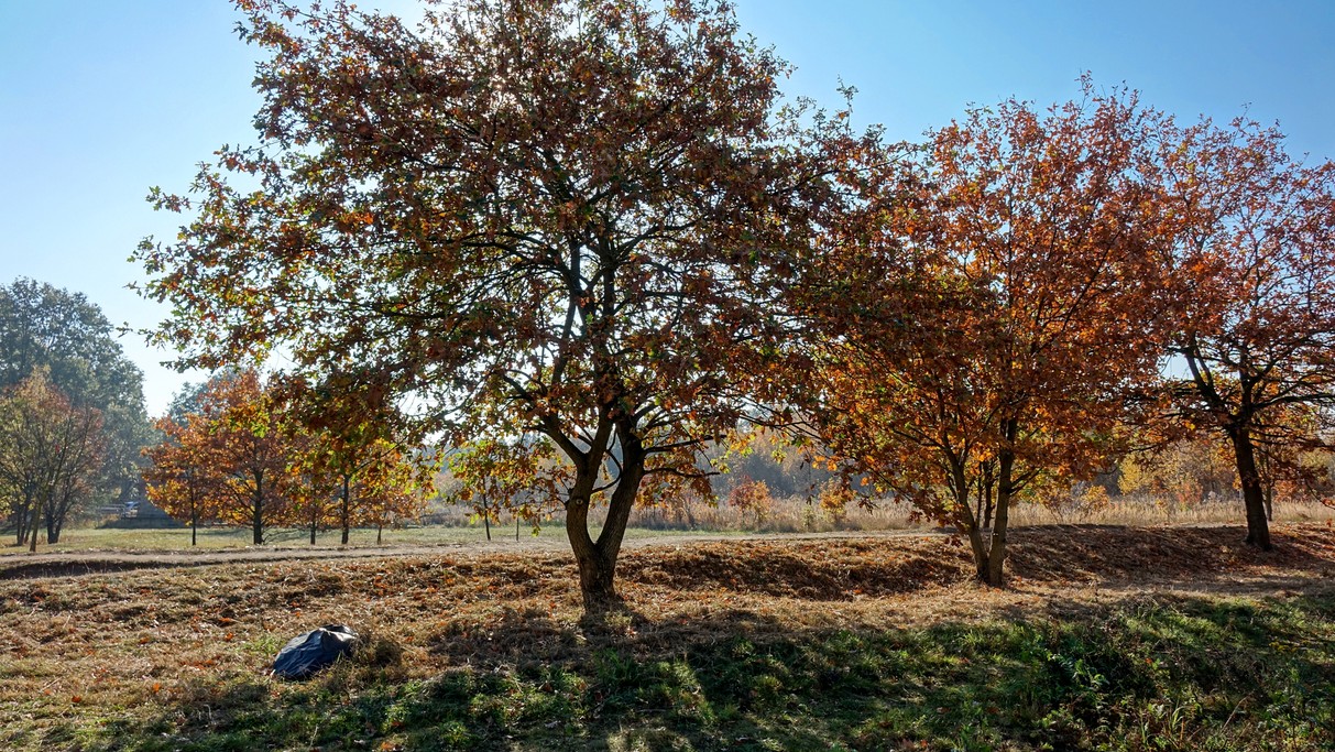 Jesienne klimaty - zdjęcie 31