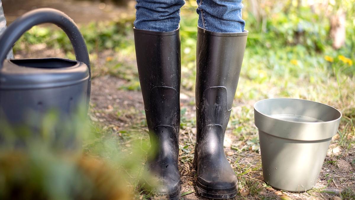 Tego nie wolno robić we wrześniu na działce ROD