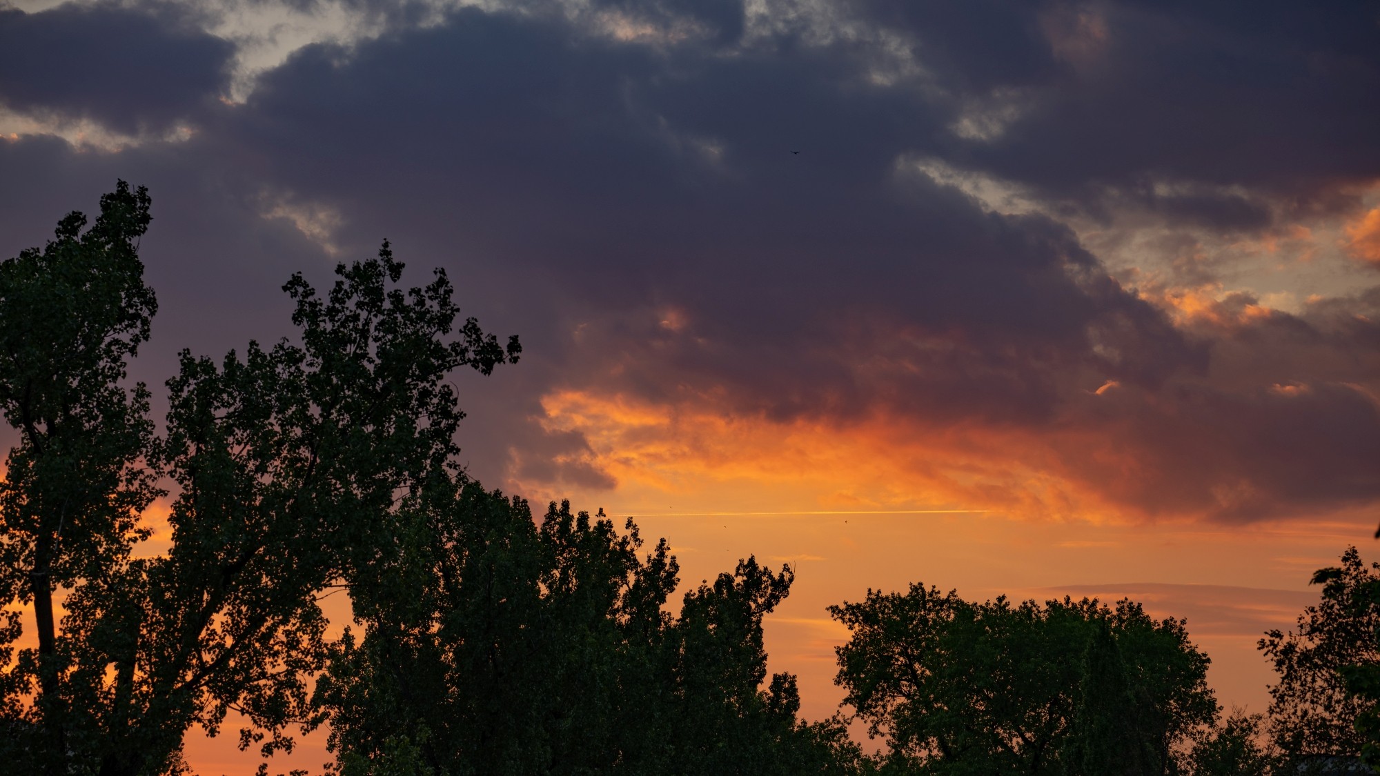 Wiosenna opowieść - zdjęcie 9