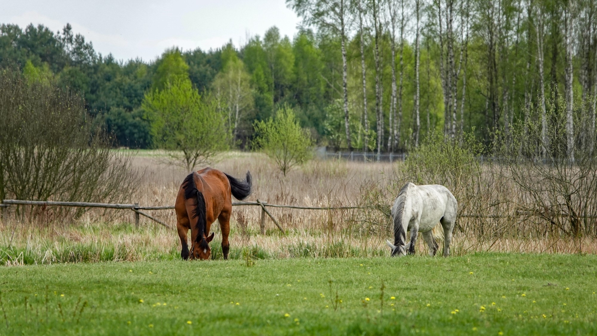 Kwiecień w obiektywie - zdjęcie 52