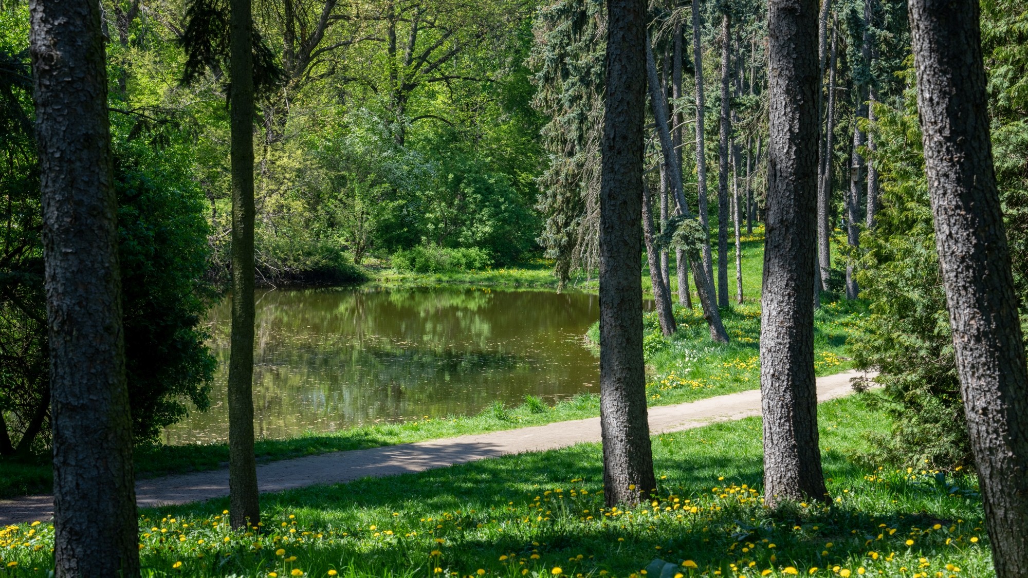 Wiosenna opowieść - zdjęcie 33
