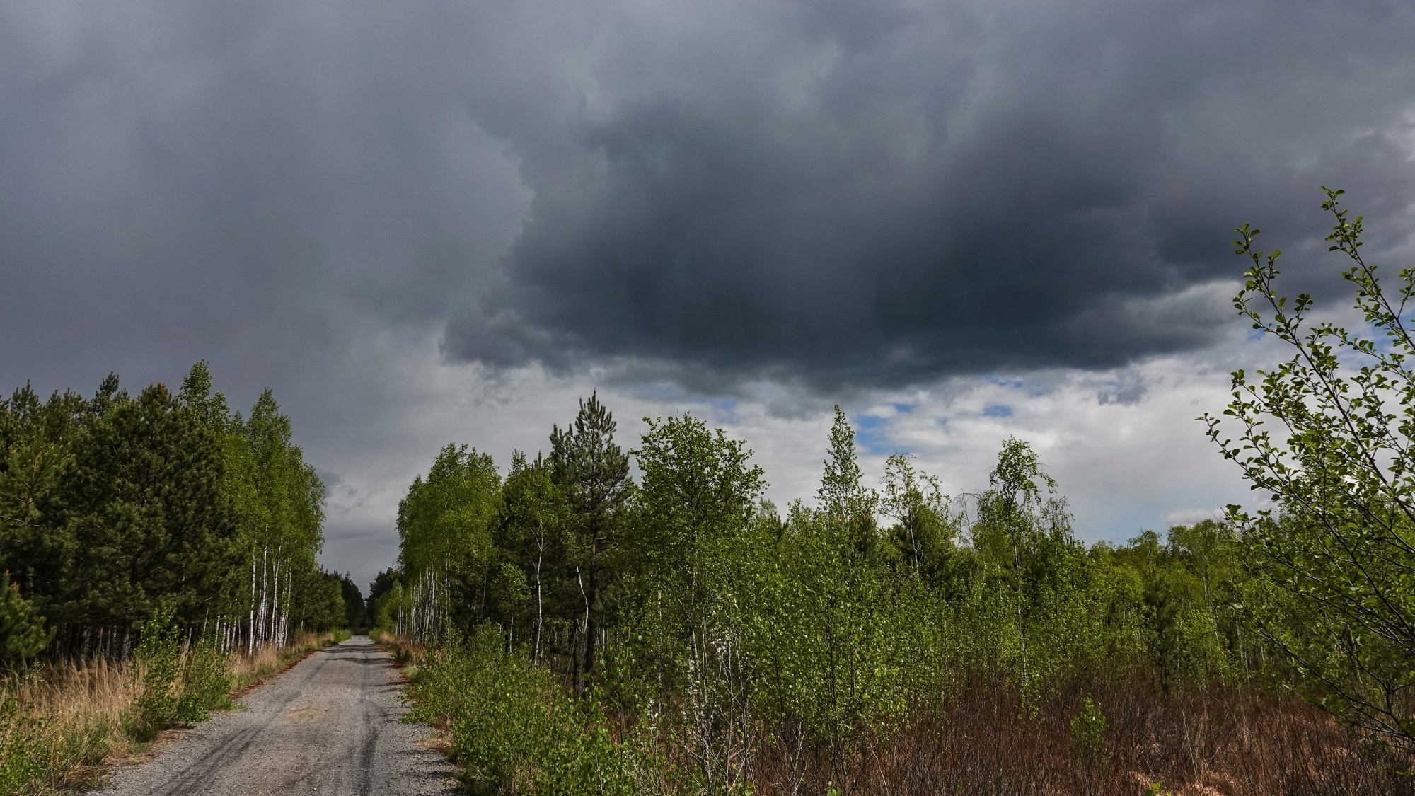 Całe piękno późnej wiosny - zdjęcie 7