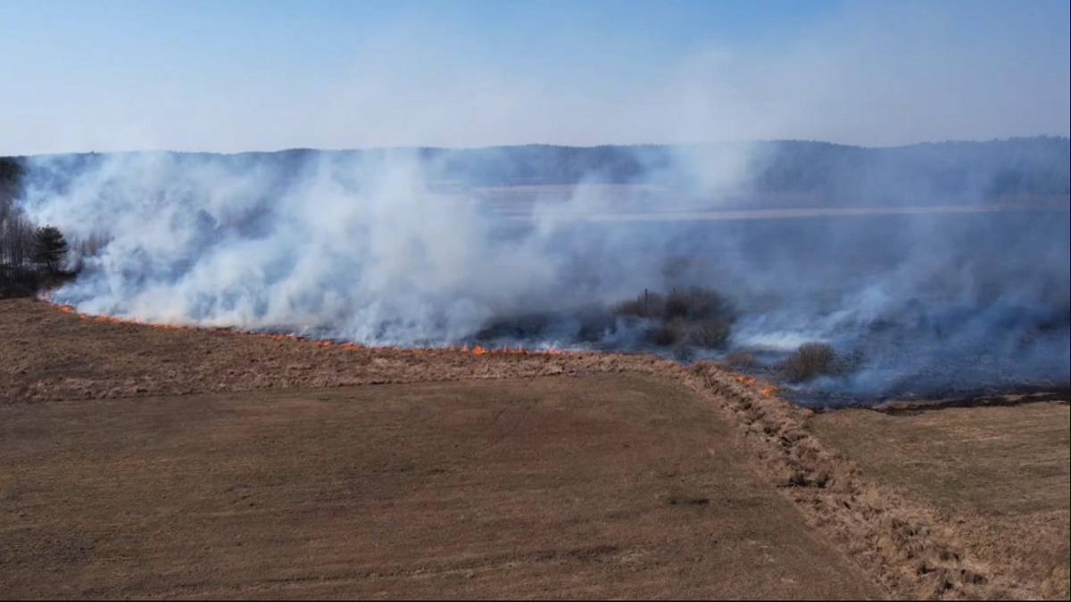 Duży pożar na Mazowszu. Walka z ogniem trwa już kilka godzin
